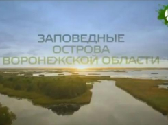 Хопер, заповедник и выхухоль:  в Воронежской области состоялась презентация фильма об уникальной природе Черноземья