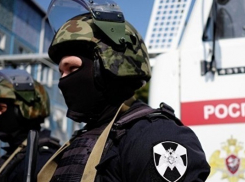 За полгода бойцы Росгвардии задержали на территории Воронежской области около 100 преступников