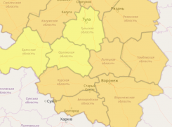 Из-за аномально-жаркой погоды в Воронежской области снова объявлен оранжевый уровень опасности