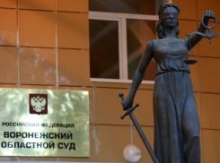 В Воронеже обсудили «забракованных» судей и выросшую подростковую преступность