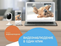 «Ростелеком» предлагает воронежцам видеонаблюдение по выгодной цене