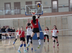 В Борисоглебске прошел Межмуниципальный турнир по волейболу