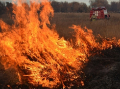 В восточных районах Воронежской области вновь возросла опасность ландшафтных пожаров