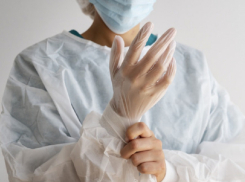 Жители Воронежской области смогут записаться на видео-консультацию с врачом через чат-бот