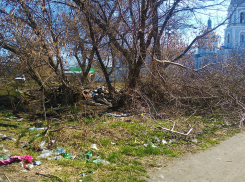 Места в Борисоглебске, где субботником и «не пахло»