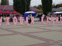 «Пуховая канитель» развернулась в центре Поворино в минувшую субботу