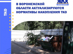 Платить за вывоз мусор жителям Воронежской области, видимо, придется больше