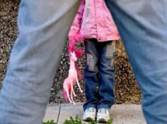 Детей в Воронежской области терроризируют педофилы и эксгибиционисты