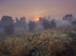Август в Воронежской области стал самым холодным за последние 16 лет 