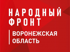 Народной фронт потерял сотрудников в Курской области: погибшие сотрудники спасали людей  