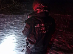 Борисоглебца, застрелившего женщину в поле, отправили в СИЗО