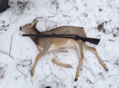 В Терновском районе охотоведы поймали браконьера с добычей