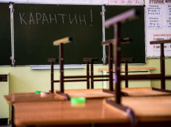  В Борисоглебске классы закрывают на карантин