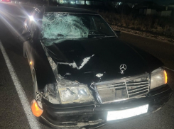 Борисоглебец без прав сбил 14-летнюю девочку на пешеходном переходе в Грибановском районе