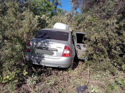 Автоледи на «Калине» снесла дорожный знак, вылетела в кювет и врезалась в столб под Борисоглебском
