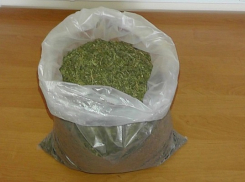 Полицейские изъяли у жителя Новохопёрска пакет марихуаны
