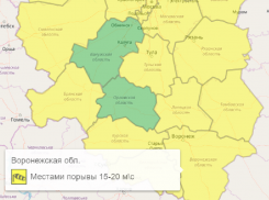 На территории Воронежской области объявили желтый уровень опасности из-за сильного ветра