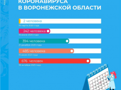 Сразу два «печальных рекорда» зафиксировали 18 октября в Воронежской области 