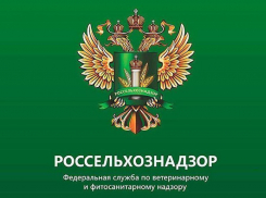 На Борисоглебском маслоэкстракционном  заводе выявлены нарушения ветеринарного законодательства