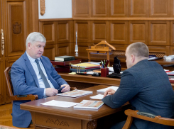 Глава Терновского района поблагодарил губернатора за «мудрые советы» 