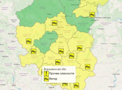 Метель с сильным ветром накроет Воронежскую область