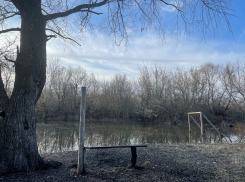 Борисоглебских чиновников пригласили поиграть «в водное поло»