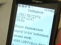 Мошенники выманили у пенсионерки из Борисоглебска более 100 тысяч рублей