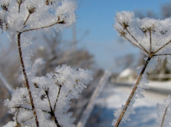 Морозы со снегом ударят по Борисоглебску на выходных