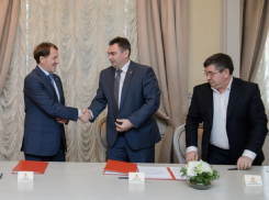 Алексей Гордеев решил подменить правительство Воронежской области Андреем Пищугиным