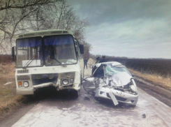 «Матиз» и автобус столкнулись на дороге в Воронежской области