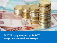 «Эх, заживём!»: жителям Воронежской области сообщили о повышении МРОТ