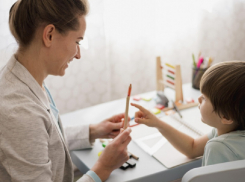 Комиссии по защите учителей до конца года начнут работу в Воронежской области 