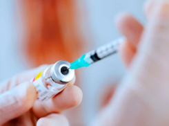 Борисоглебцам предлагают вакцинироваться от коронавируса на Центральном  рынке 