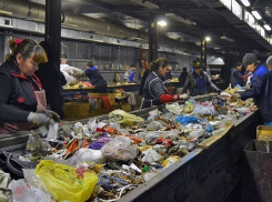 Строительство мусоросортировочных заводов в Воронежской области поддержат из федерального бюджета