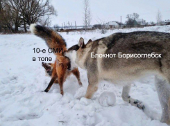 «Блокнот-Борисоглебск» рвет рейтинги в ТОПе самых читаемых СМИ Воронежской области