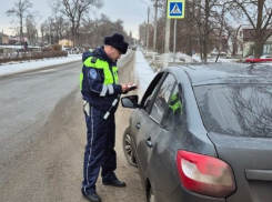 В Борисоглебске вновь начались рейды по выявлению пьяных водителей
