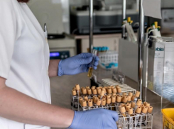 Число зараженных COVID-19 в Воронежской области превысило 500 человек