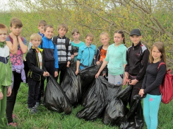Терновские добровольцы благоустраивают сёла и помогают людям