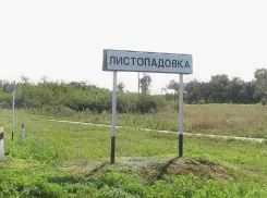 На «земельный беспредел» в Листопадовке пожаловался местный фермер