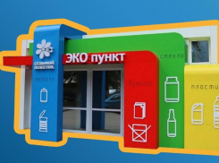  Получать за отходы деньги: когда в Борисоглебске появится свой экопункт? 