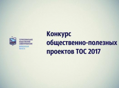 6 ТОСов Борисоглебского округа выиграли областные гранты