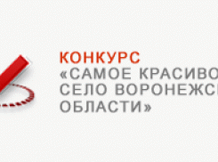 Ульяновка борется за звание  «Самого красивого села Воронежской области». Жюри приступило к инспектированию претендентов.