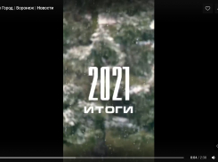  «Елочка нам  нравится…»: непраздничные итоги 2021 года в Воронежской области 