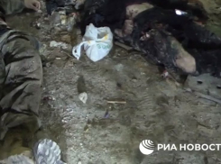Силовики уничтожили трех укронацистов, которые готовили теракты в Воронежской области. Видео