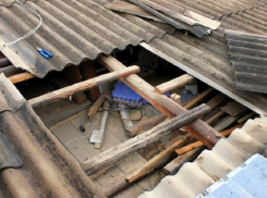 Жительница Грибановского района украла крышу соседского дома