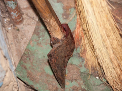 В Борисоглебске 69-летний пенсионер убил знакомого топором