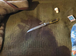 Под Борисоглебском сельчанка убила знакомого из-за постоянных оскорблений