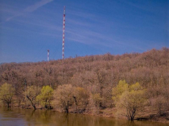 В лесу под Борисоглебском  незаконно возвели  5 деревянных строений 