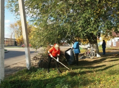 В Борисоглебске стартует месячник благоустройства