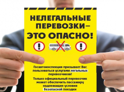 Не пользоваться услугами нелегальных перевозчиков призывает ГИБДД Воронежской области